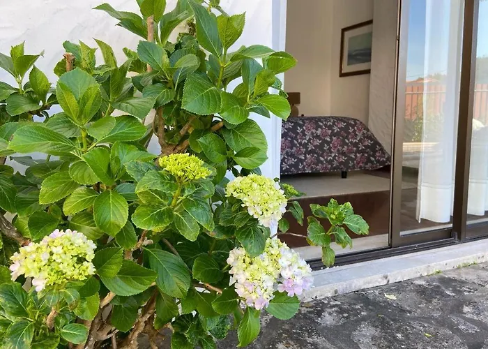 Villa Sitio Do Louro *