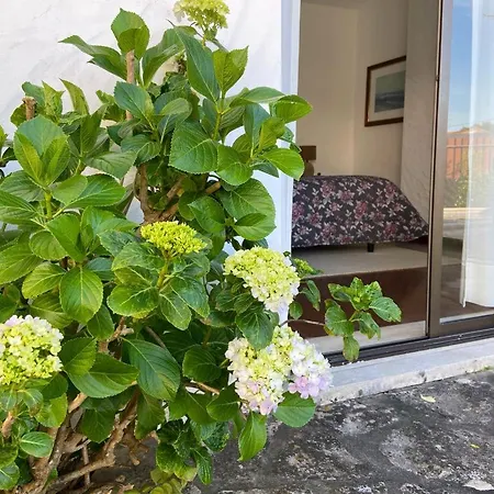 Villa Sítio Do Louro *