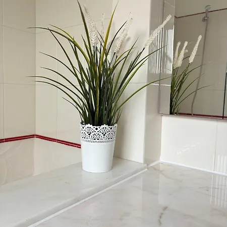 Sitio Do Louro 别墅 圣马蒂纽·杜·波特