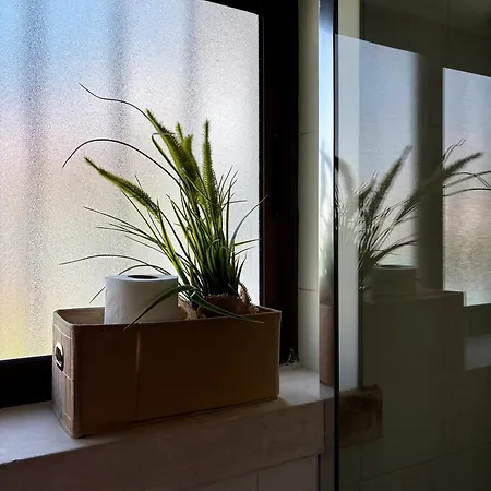 别墅 Sitio Do Louro 圣马蒂纽·杜·波特