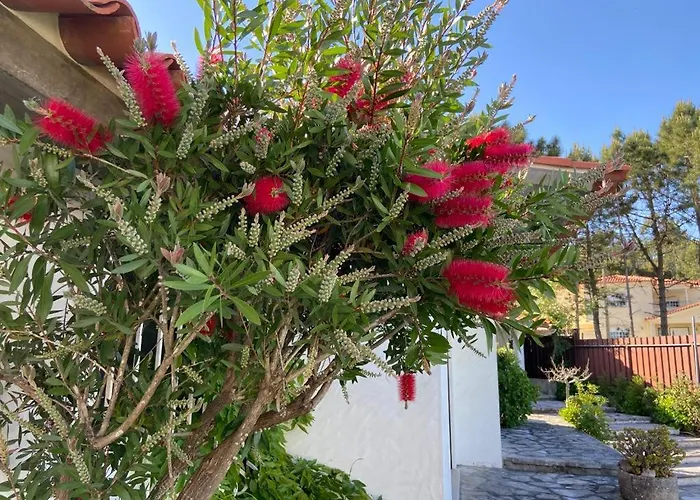 Villa Sítio Do Louro São Martinho do Porto